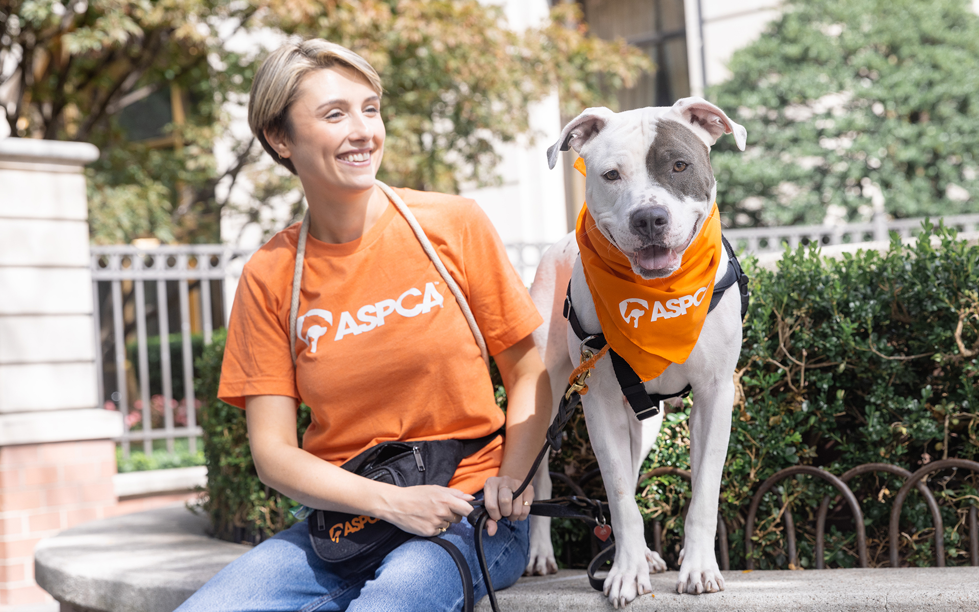 Woman in ASPCA shirt sitting on outdoor steps and smiling at dog wearing ASPCA bandana. 
