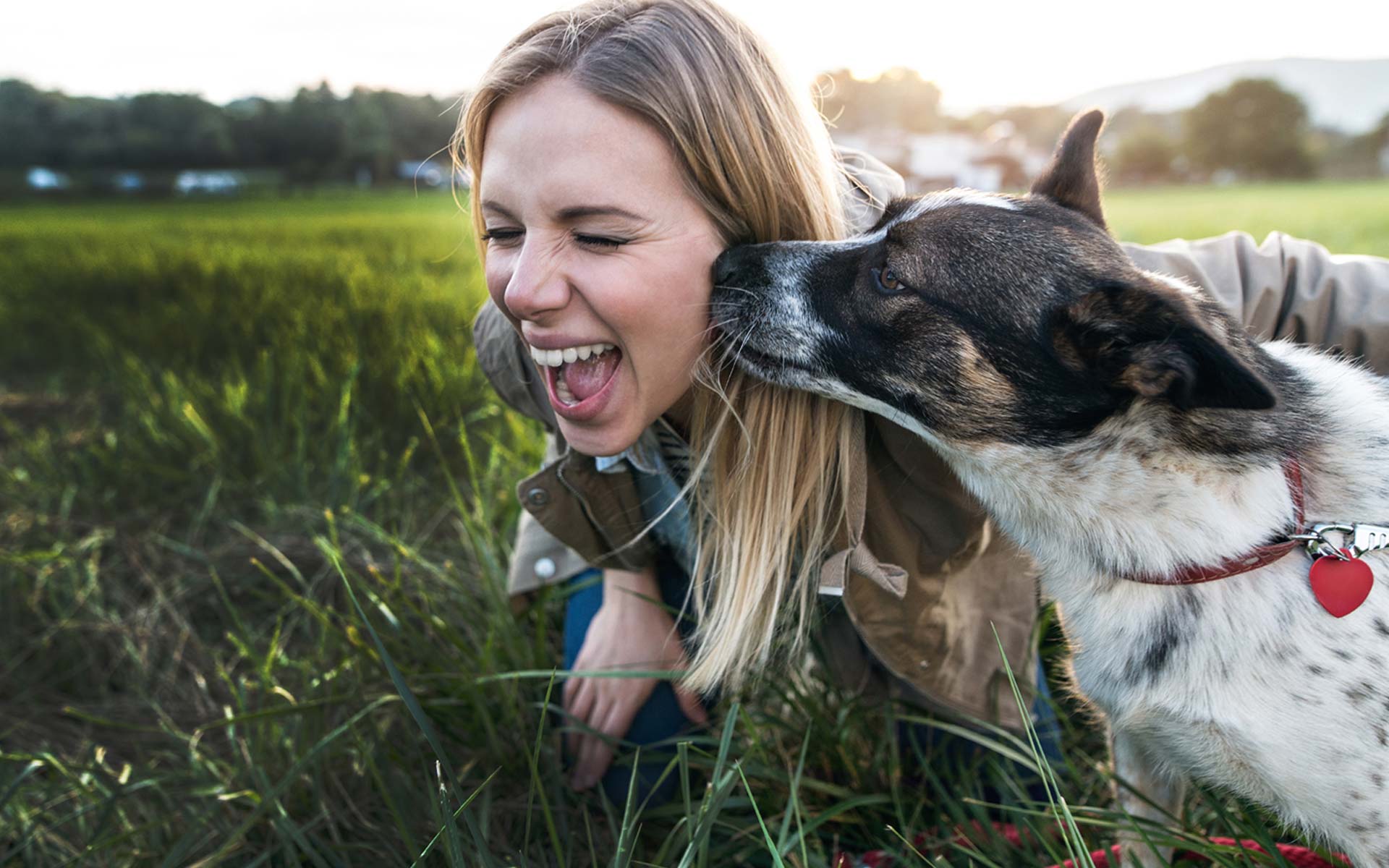 Man playing with dog